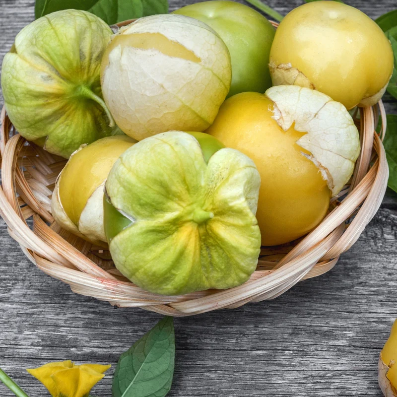 Tomatillo Amarylla, Physalis ixocarpa Samen MHD 06/27