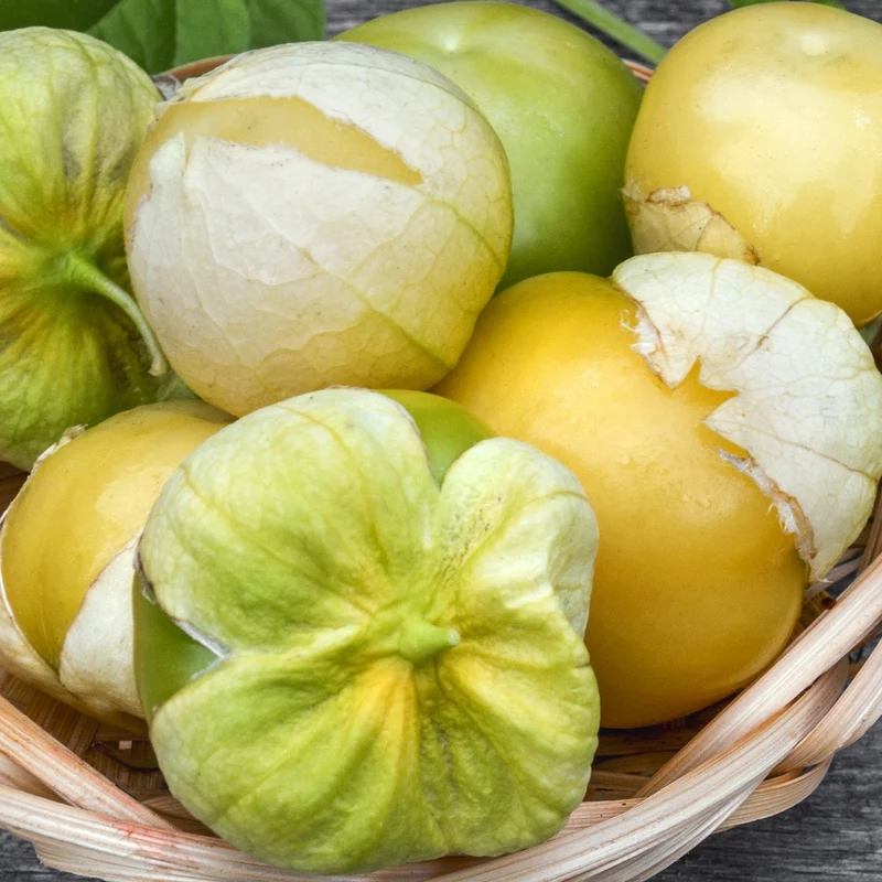 Tomatillo Amarylla, Physalis ixocarpa Samen MHD 06/27