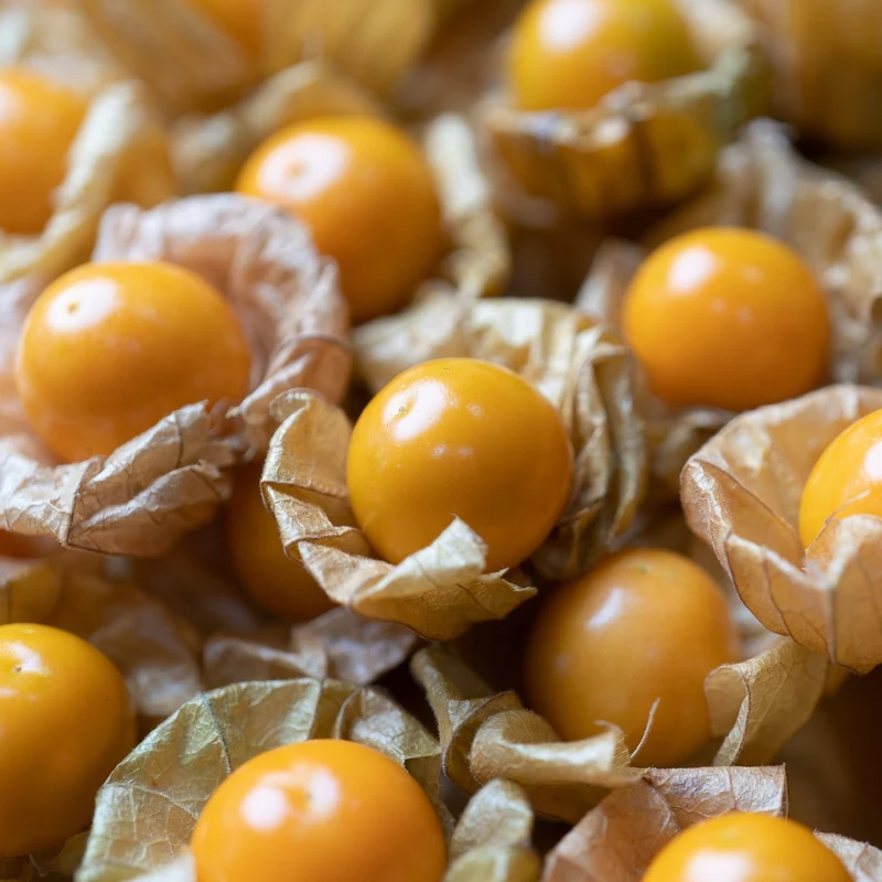 Ananaskirsche Goldmurmel Samen