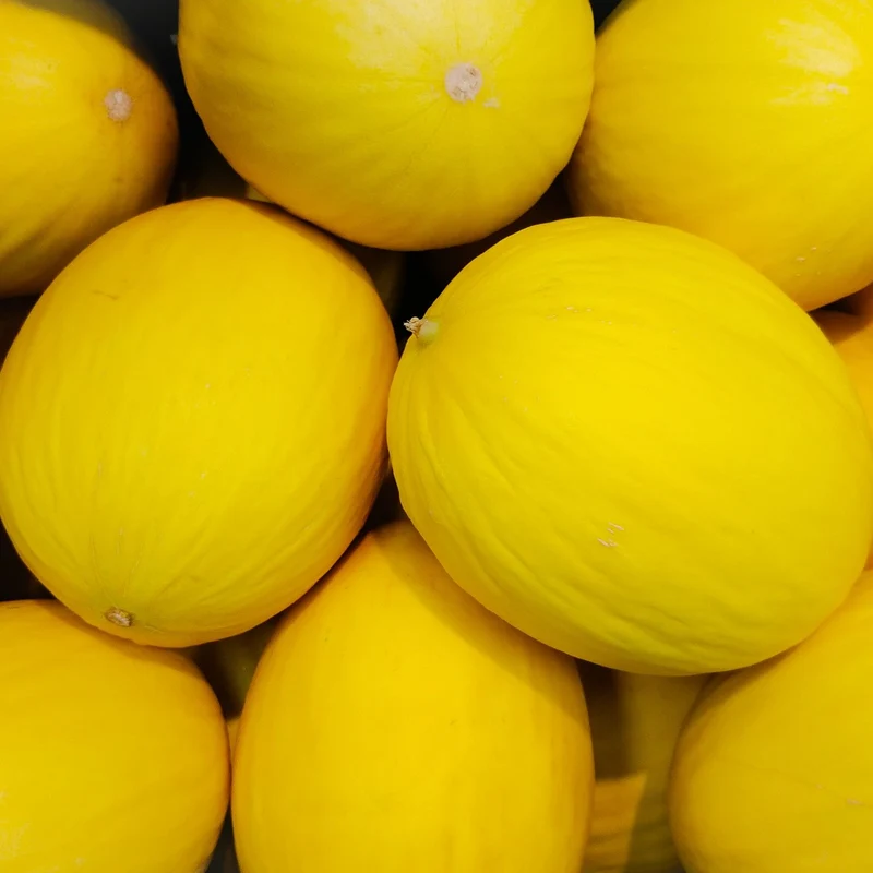Honigmelone Yellow Canari 2 Samen