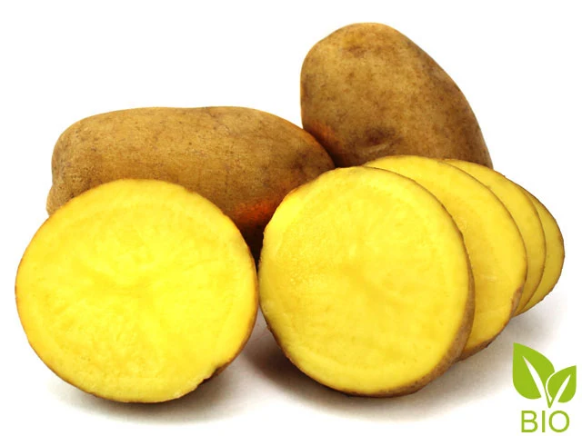 BIO Pflanzkartoffeln Linda 2,5 kg