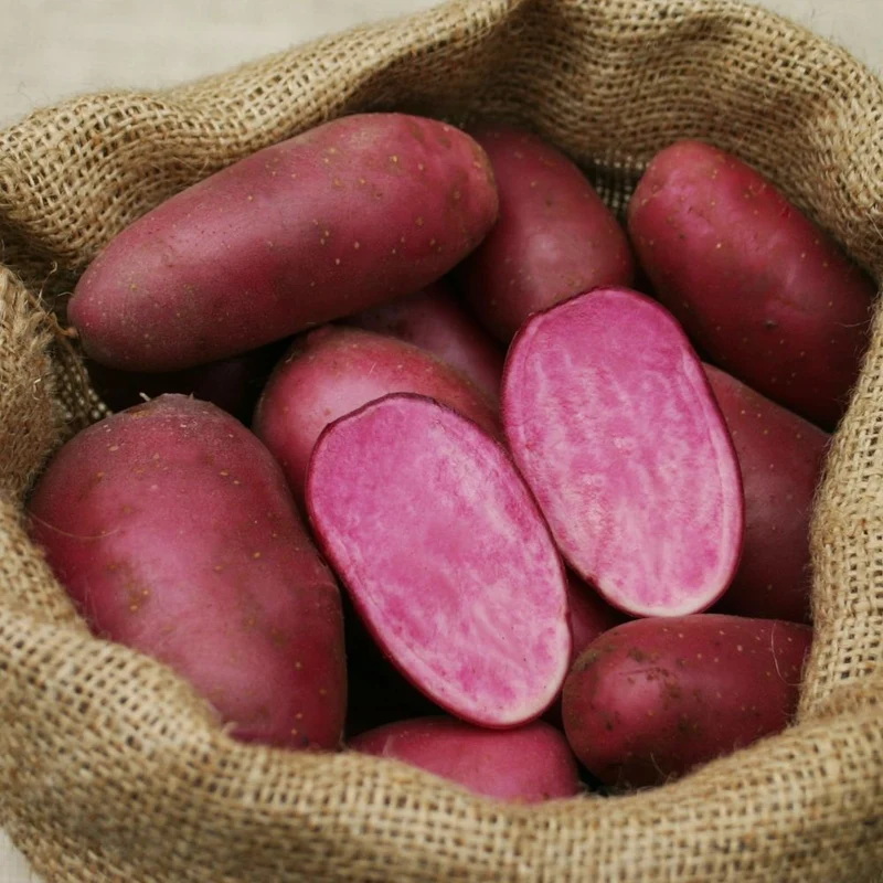 BIO Pflanzkartoffeln Heiderot 2,5 kg ABVERKAUF