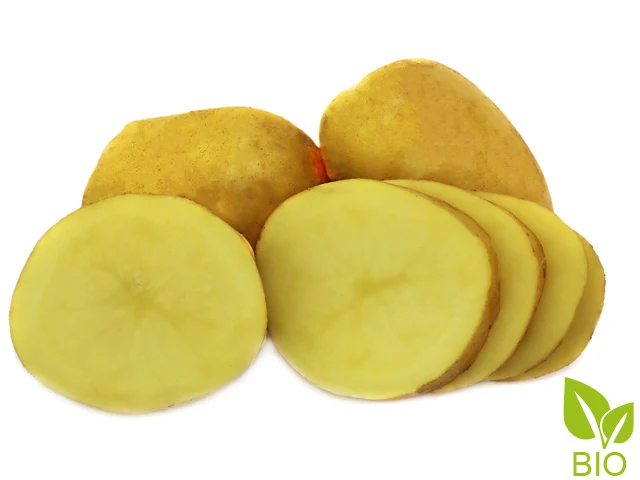 BIO Pflanzkartoffeln Heidemarie 2,5 kg ABVERKAUF