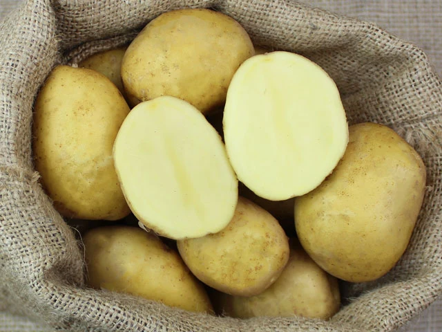 BIO Pflanzkartoffeln Heidemarie 2,5 kg ABVERKAUF