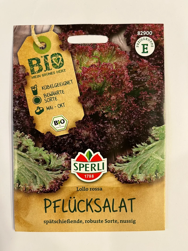 Salat Pflücksalat Lollo Rossa
