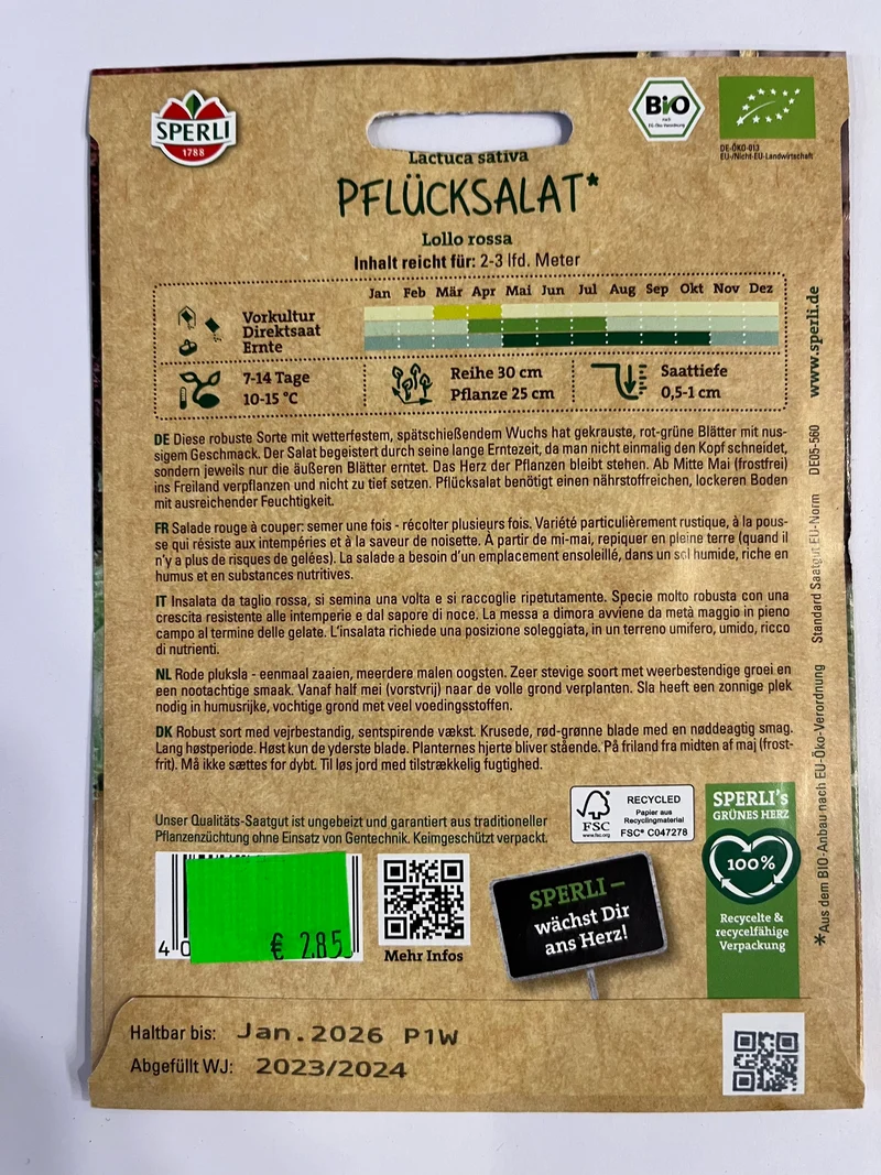 Salat Pflücksalat Lollo Rossa