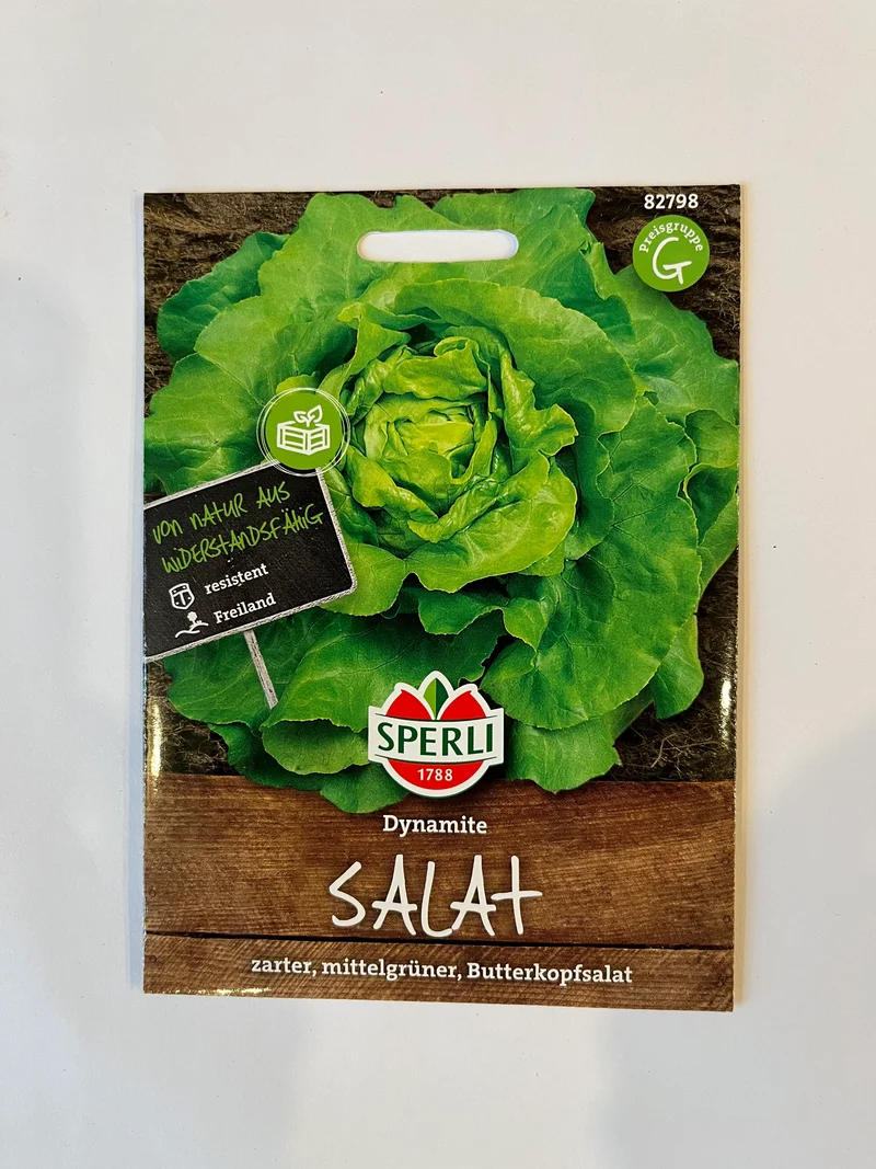 Kopfsalat Dynamite