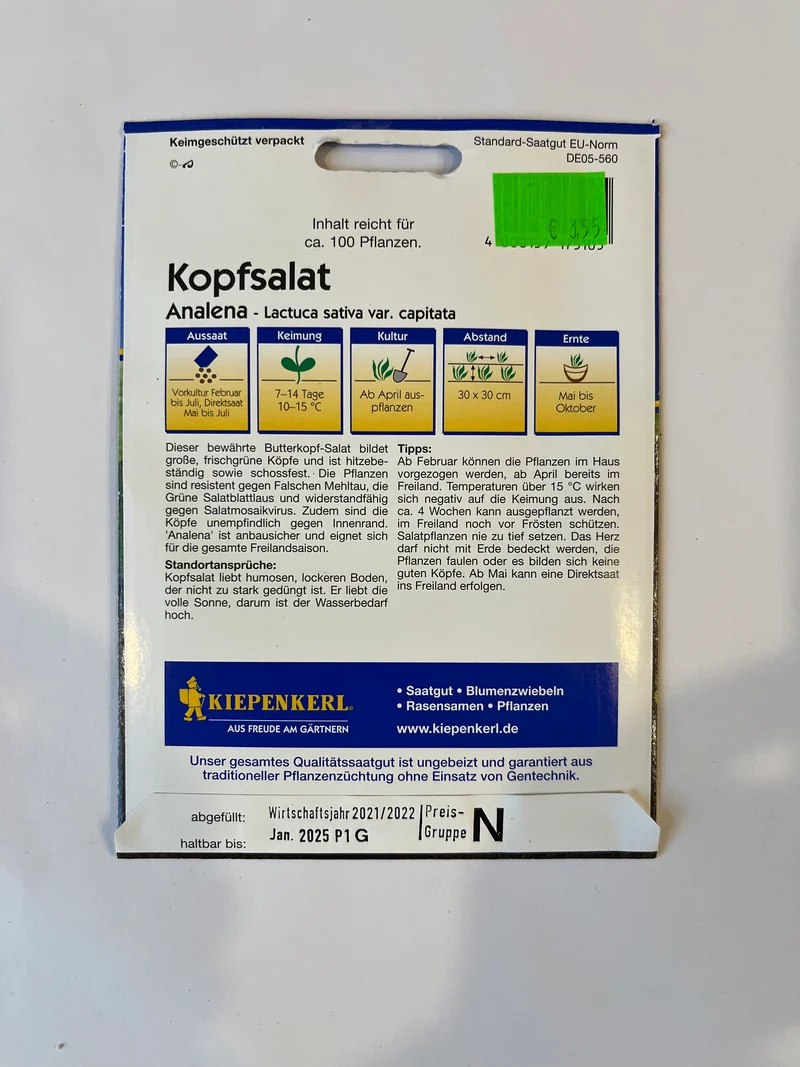 Kopfsalat Analena