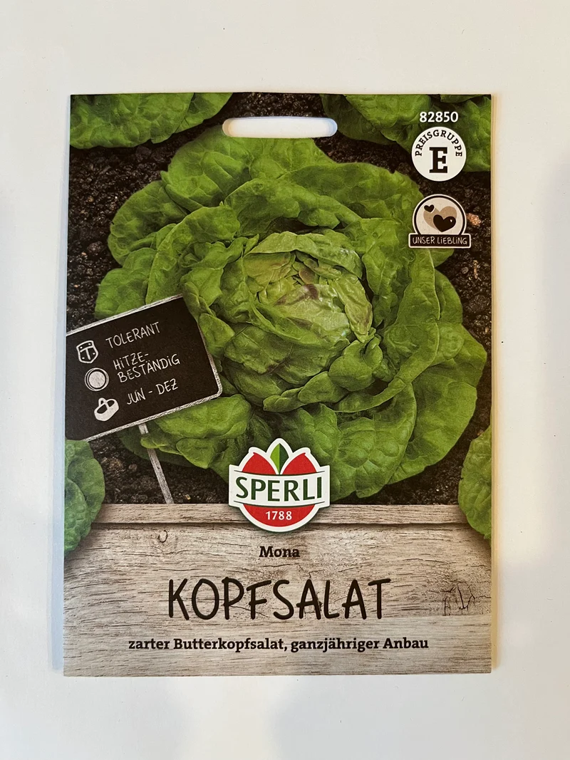 Kopfsalat Mona