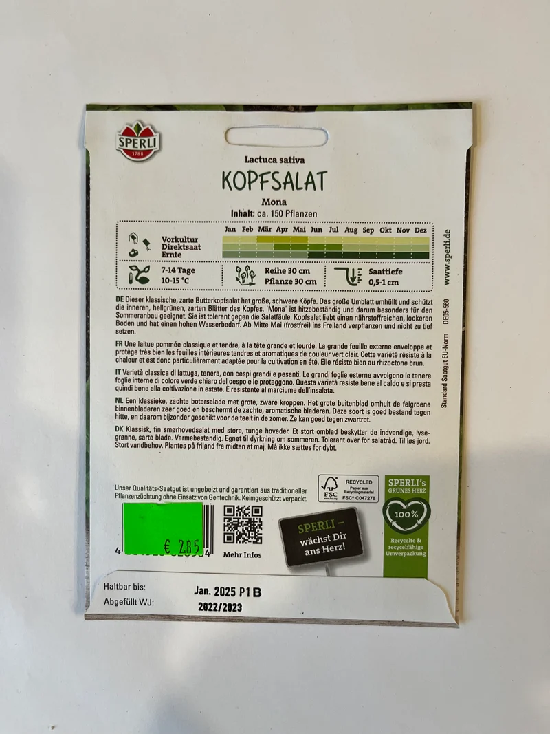 Kopfsalat Mona