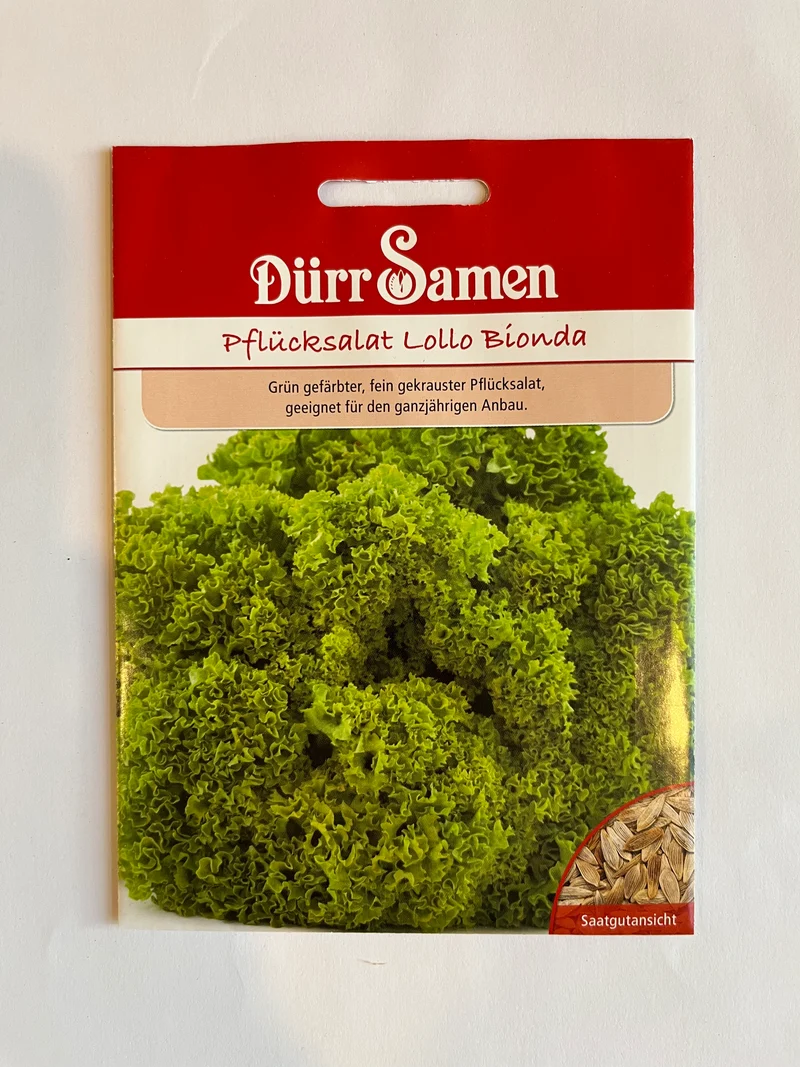 Pflücksalat Lollo Bionda