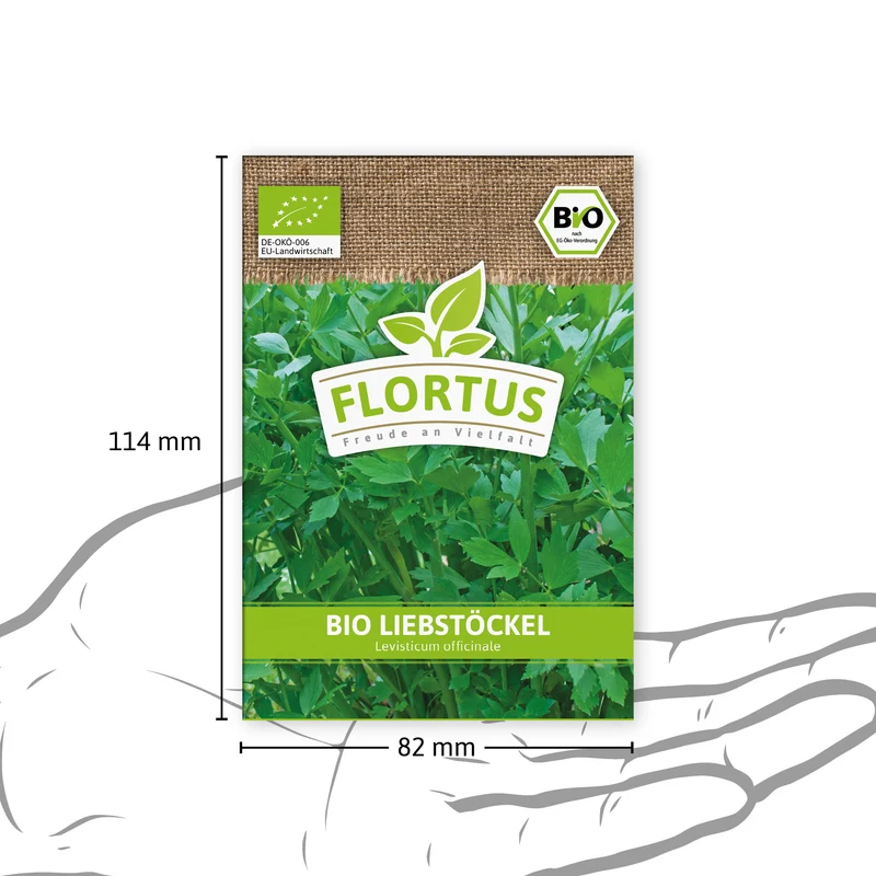 Liebstöckel | BIO Liebstöckelsamen von FLORTUS