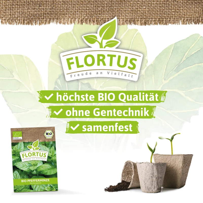 Pfefferminze | BIO Pfefferminzsamen von FLORTUS