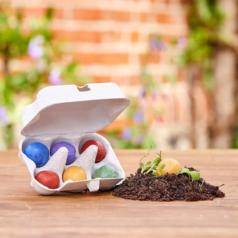 6 bunte Blumenmurmeln im Eierkarton - Powerblumen