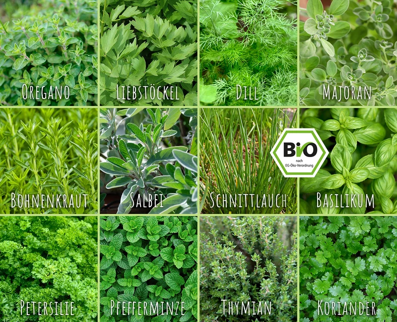 BIO Kräuter-Set (12 Sorten) | Kräutersamen von FLORTUS