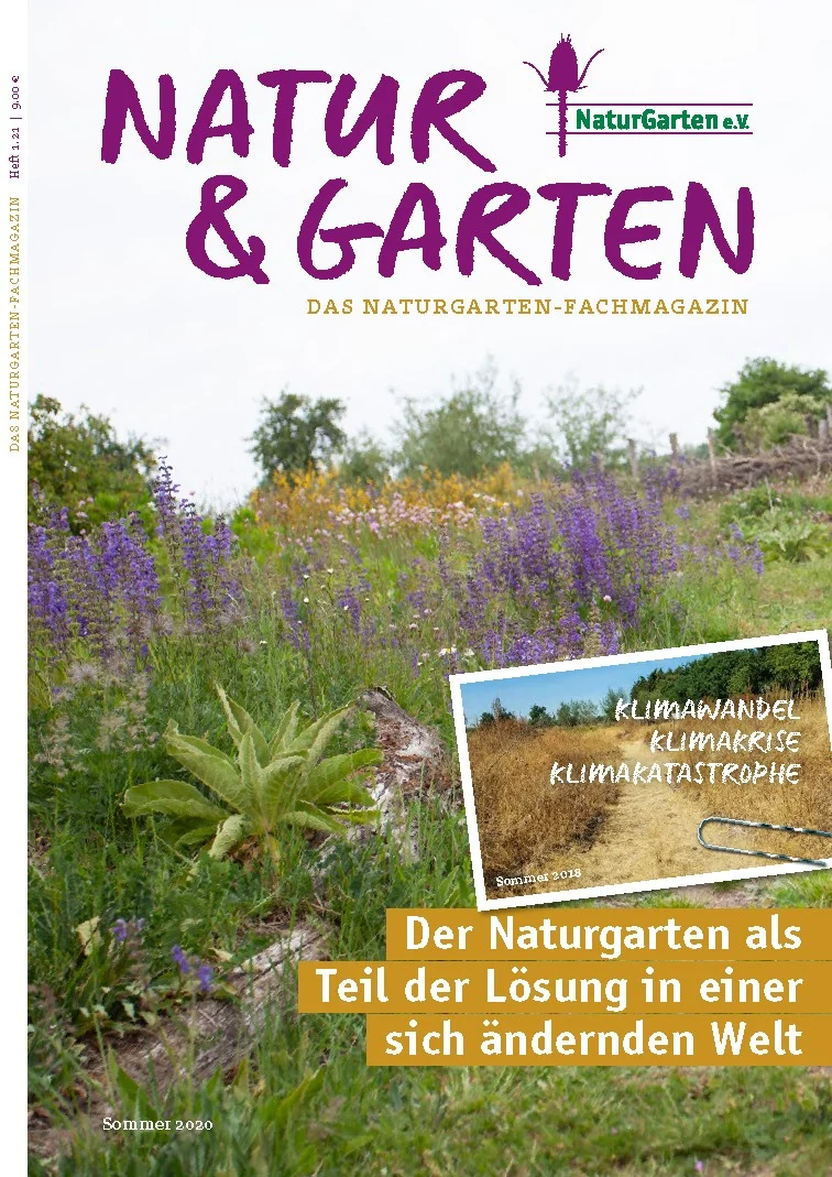 Klimawandel, Klimakrise, Klimakatastrophe