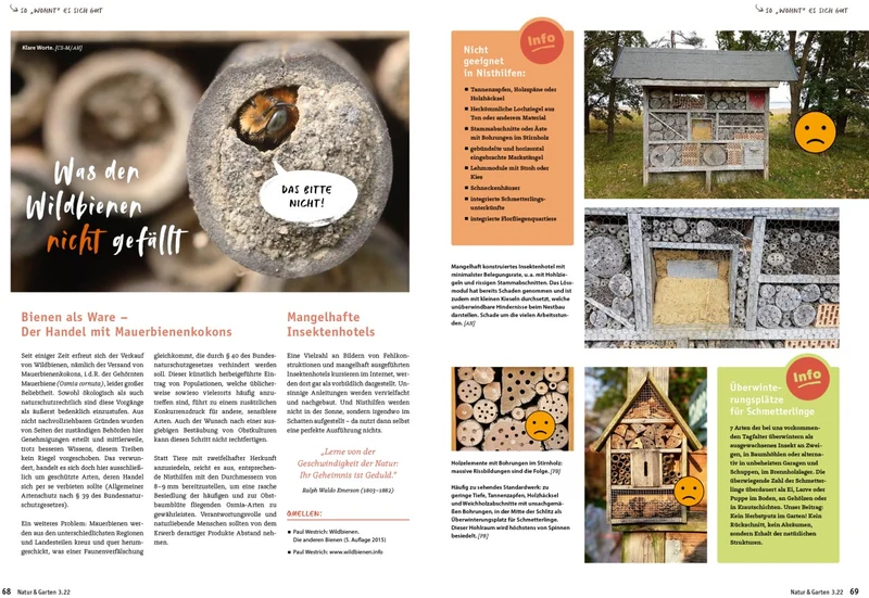 Wildbienen, Wespen & Hornissen