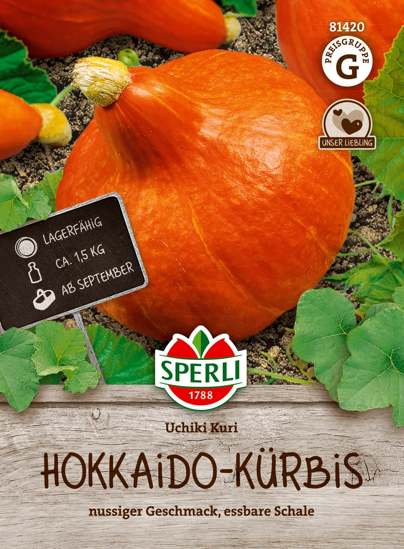 Hokkaido Kürbis Uchiki Kuri Saatgut