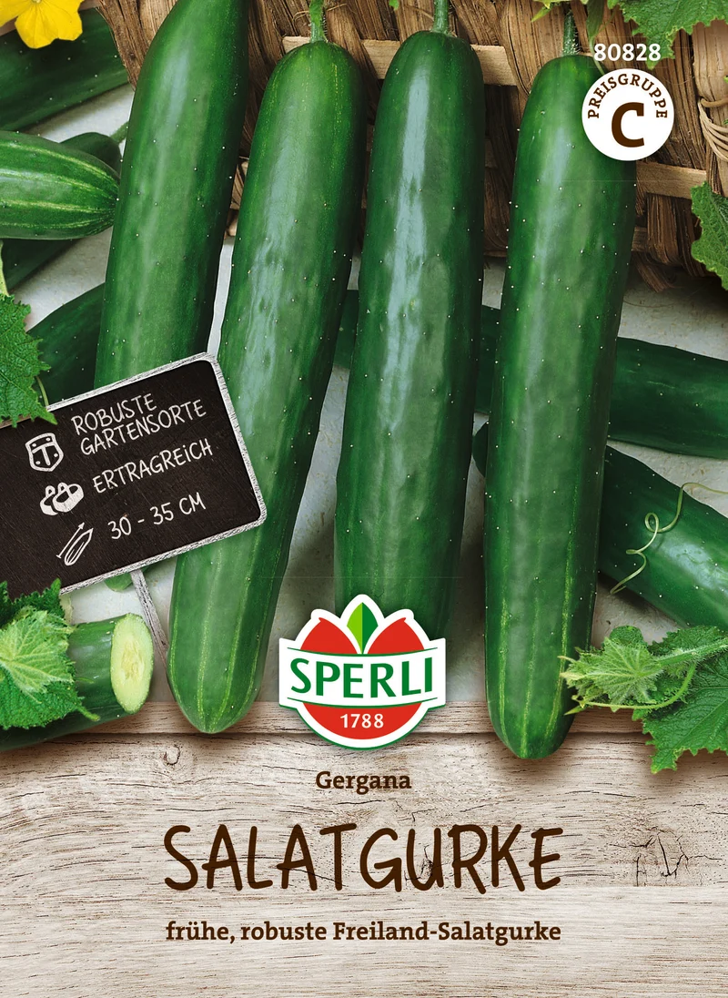Salatgurke Gergana Saatgut