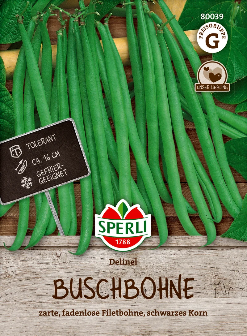 Buschbohne Delinel Saatgut