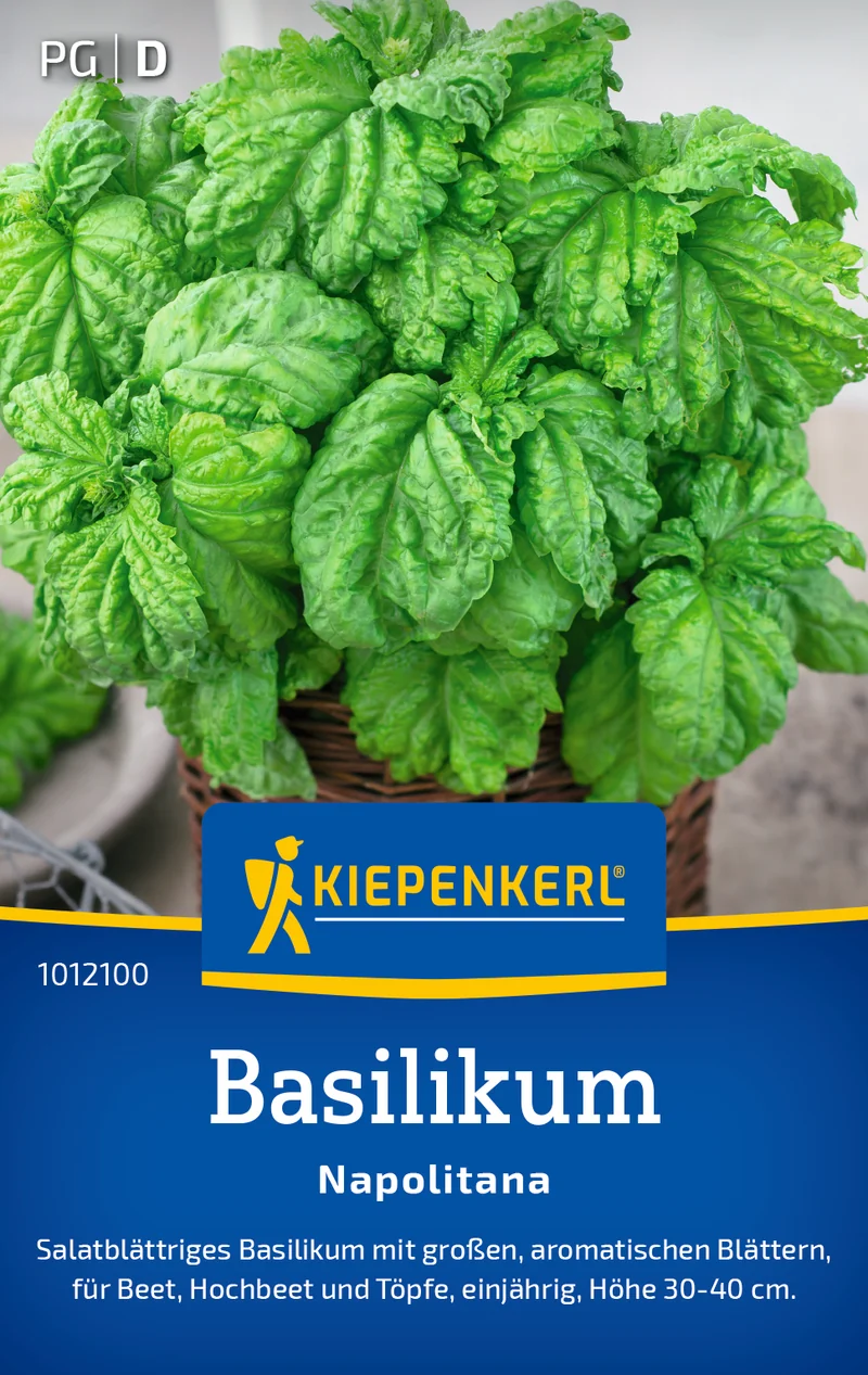 Basilikumsamen Napolitana Saatgut