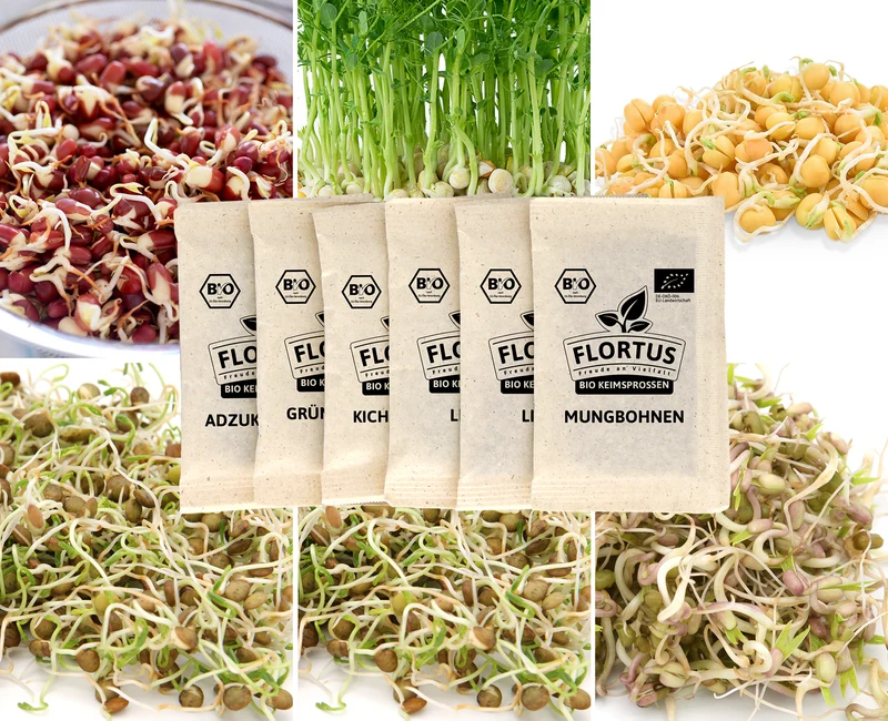 Keimsprossen Set Hülsenfrüchte (6 Sorten) | BIO Keimsprossen Sets von FLORTUS