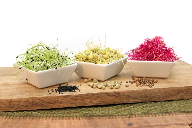 Keimsprossen Set Fortgeschrittene (8 Sorten) | BIO Keimsprossen Sets von FLORTUS