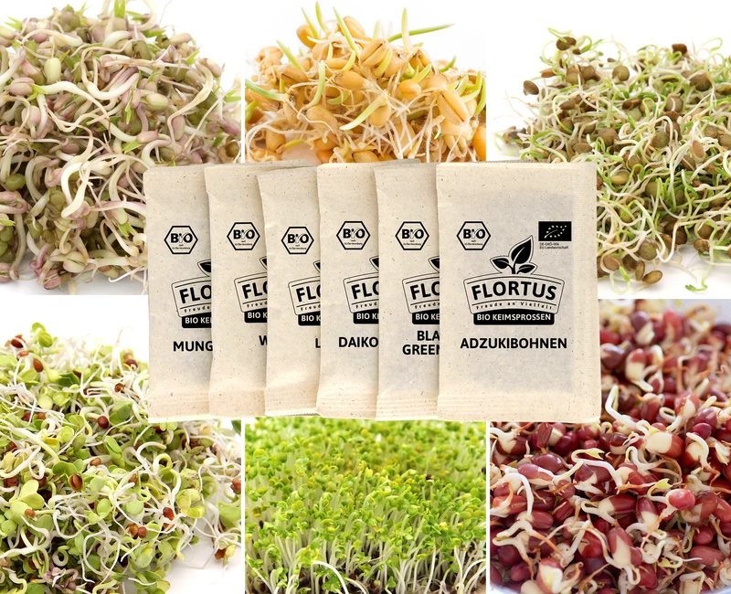 Keimsprossen Set Asiatisch (6 Sorten) | BIO Keimsprossen Sets von FLORTUS