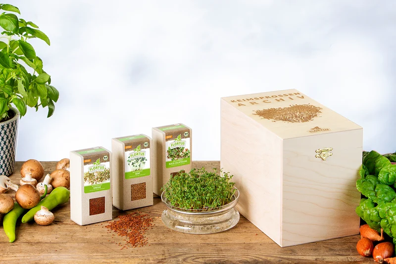 Keimsprossen Archiv - Lieblingssprossen Set (3 Sorten) | BIO Keimsprossen Sets von FLORTUS