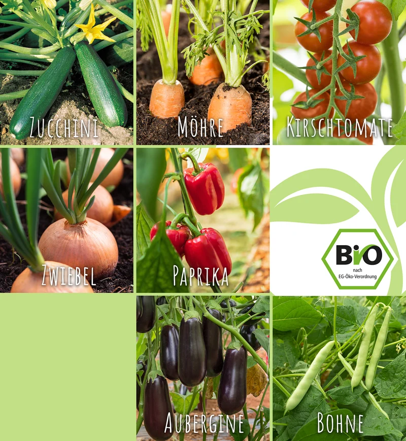 Grillgemüse-Set (7 Sorten) | BIO Gemüsesamen-Sets von FLORTUS