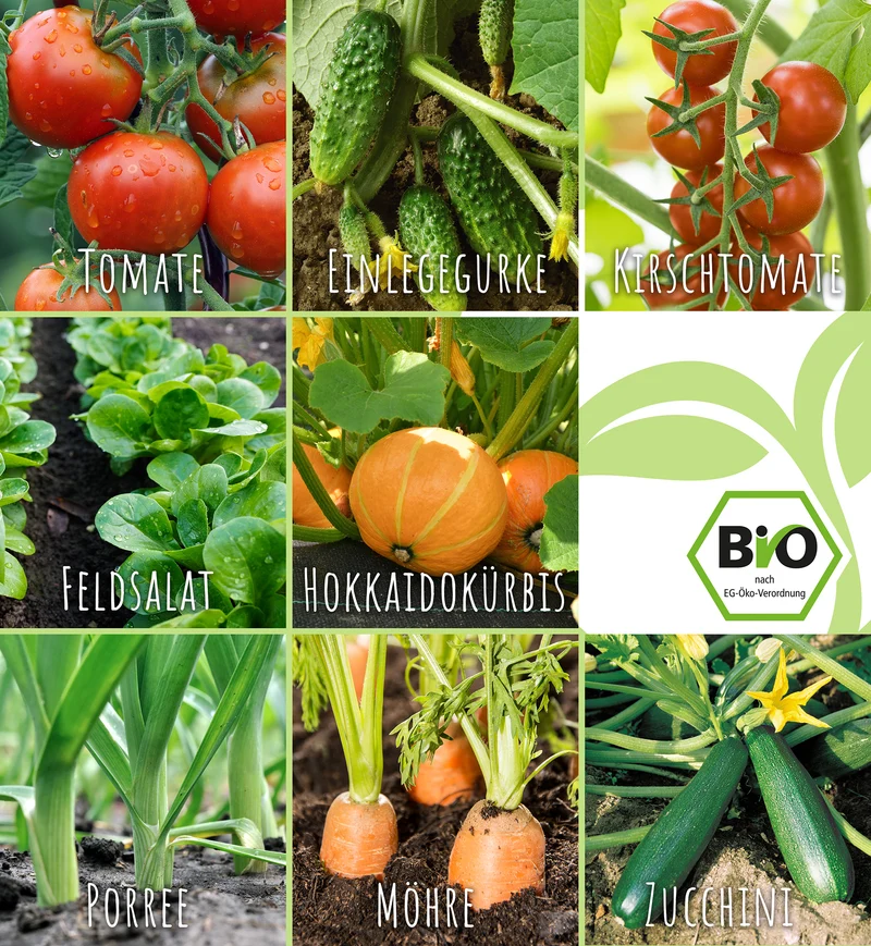 Gemüse-Set (8 Sorten) | BIO Gemüsesamen-Sets von FLORTUS
