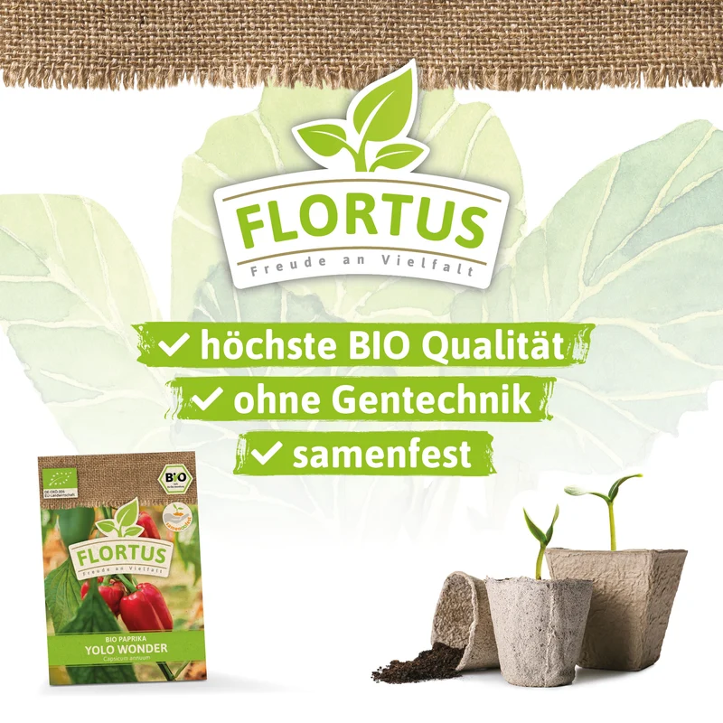 Paprika Yolo Wonder | BIO Paprikasamen von FLORTUS