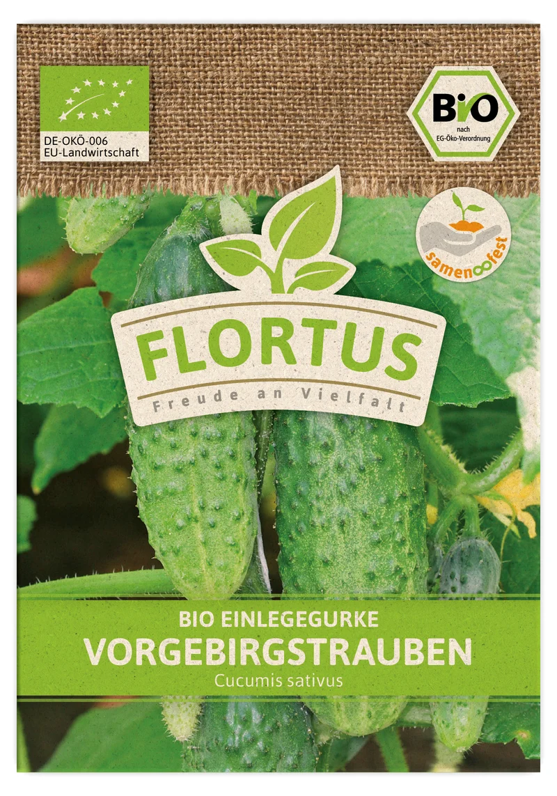 Einlegegurke Vorgebirgstrauben | BIO Gurkensamen von FLORTUS