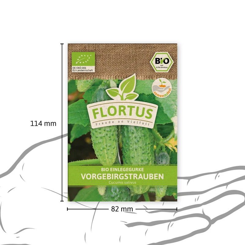 Einlegegurke Vorgebirgstrauben | BIO Gurkensamen von FLORTUS