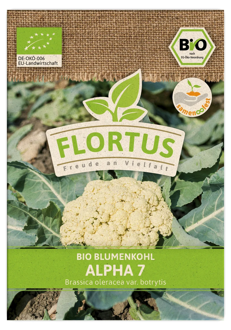 Blumenkohl Alpha 7 | BIO Kohlsamen von FLORTUS