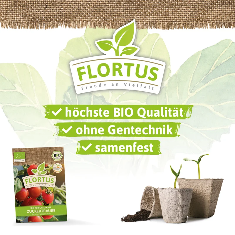 Kirschtomate Zuckertraube | BIO Tomatensamen von FLORTUS