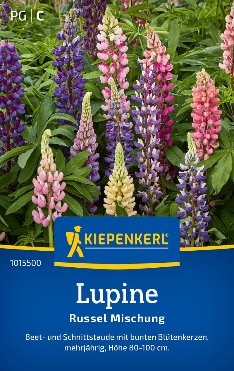 Lupine Russel Mischung Saatgut