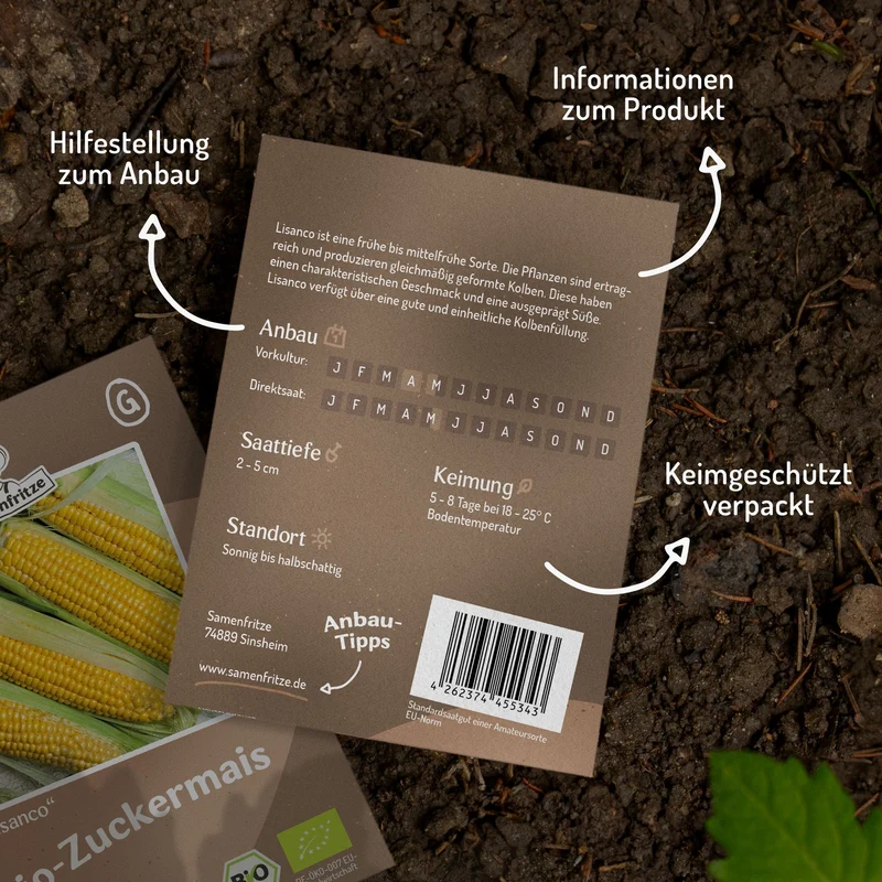 Bio-Zuckermais Lisanco Samen