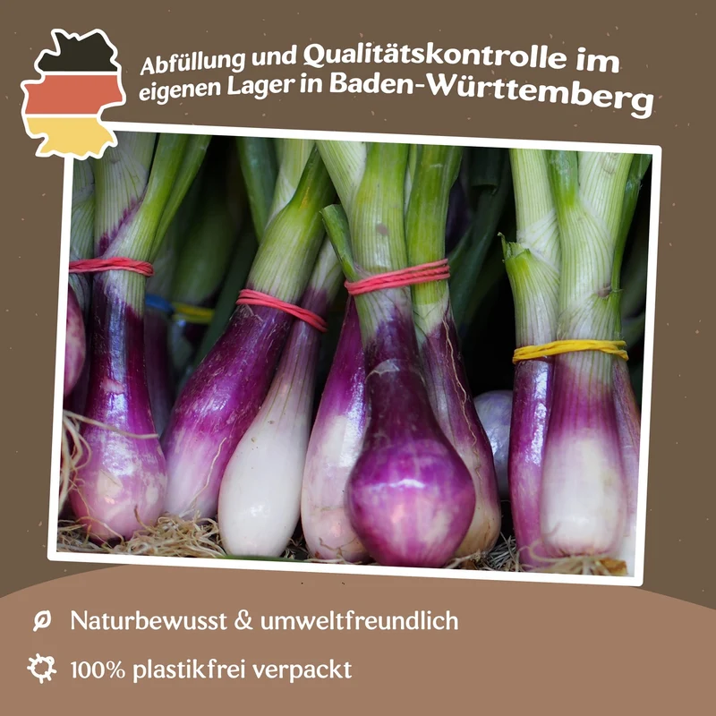 Lauchzwiebel Red Toga Samen MHD 06/27