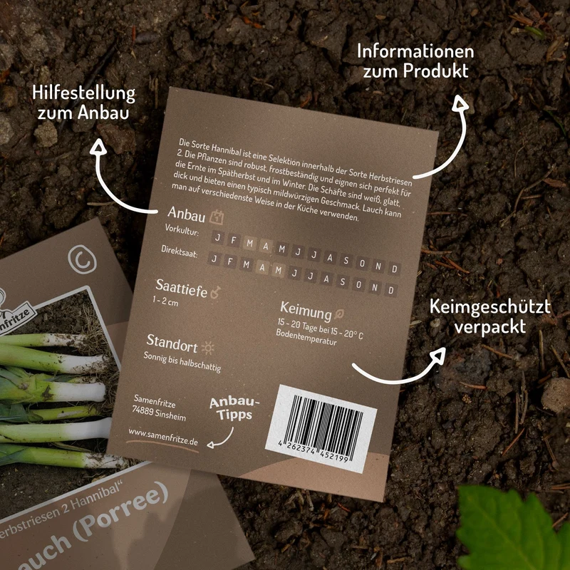 Lauch Herbstriesen 2 Hannibal Samen