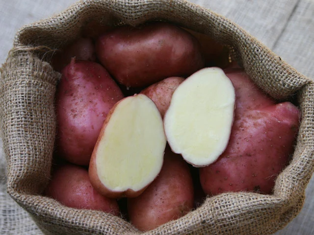 BIO Pflanzkartoffeln Desiree 2,5 kg
