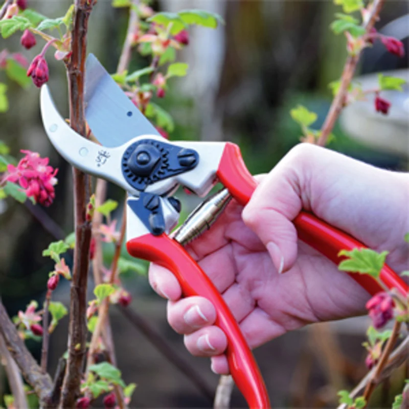 Bypass-Gartenschere mit Holster - Spear & Jackson