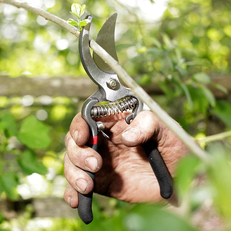 Vintage Gartenscheren Set 2-teilig – Spear & Jackson