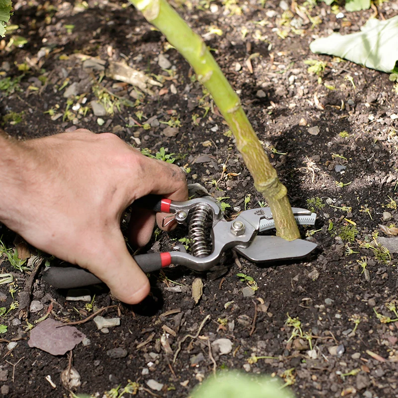 Vintage Gartenscheren Set 2-teilig – Spear & Jackson