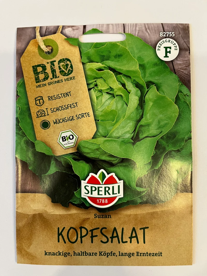 Salat Kopfsalat Suzan