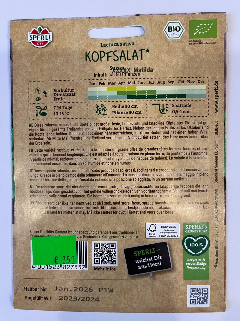Salat Kopfsalat Suzan