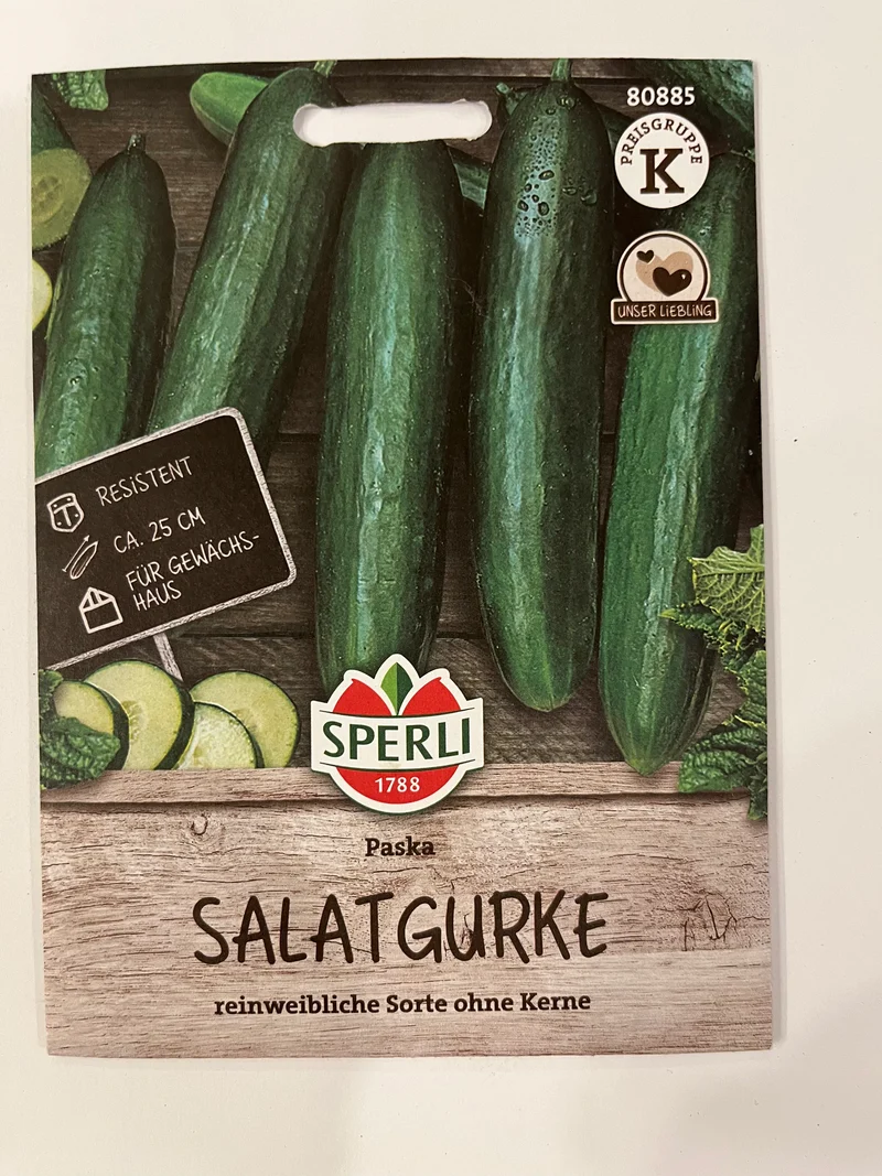 Salatgurke Paska