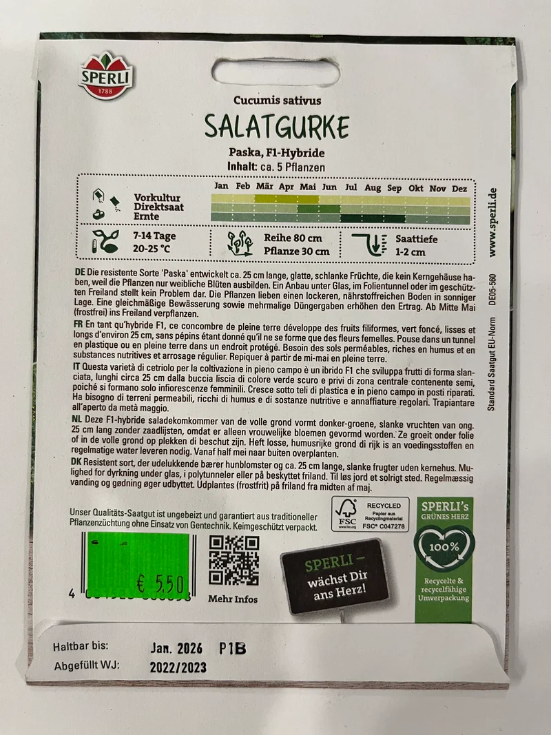 Salatgurke Paska