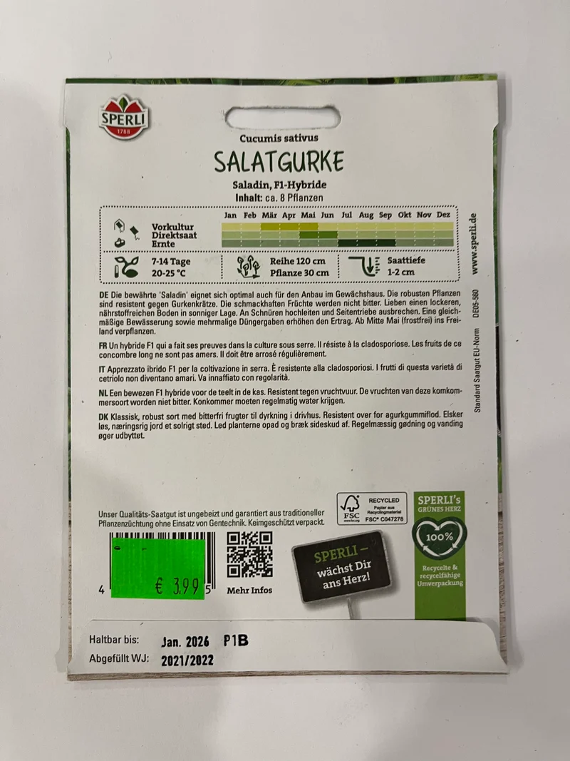 Salatgurke Saladin F1-Hybride