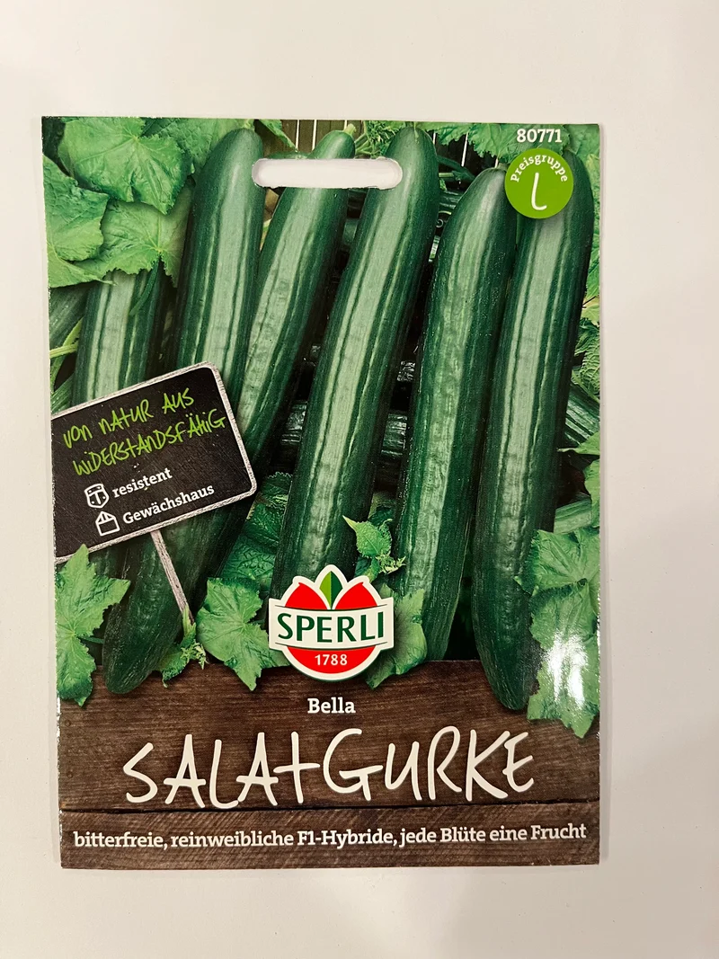 Salatgurke Bella F1-Hybride